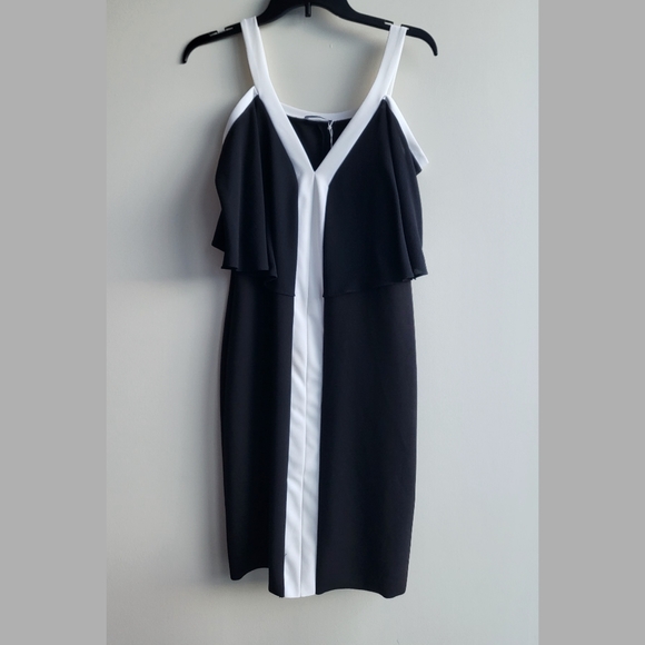 Zara Minimalist Mini Dress with Drapped Sleeves - Picture 3 of 4